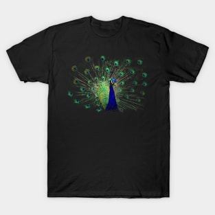 Pfau T-Shirt